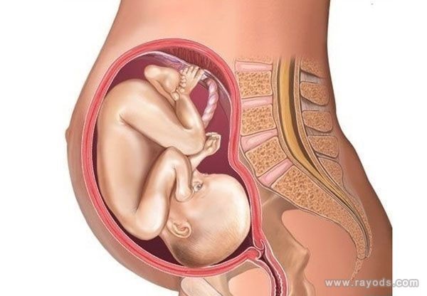 在做试管婴儿之前，首先要做的是照顾好精子。