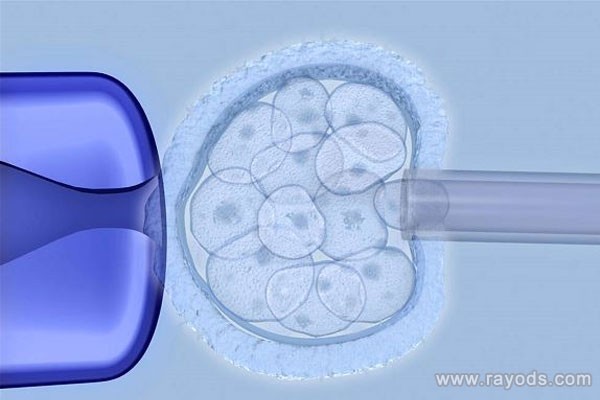 胚胎停育并不可怕，襄阳试管婴儿专家有妙招!