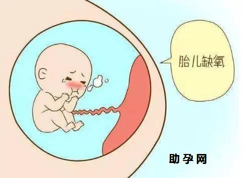 襄阳正规试管婴儿医院排名_怀孕期间不要感染病毒和细菌