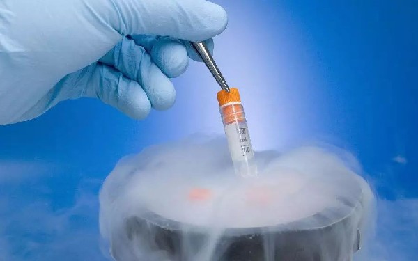 南通助孕龙凤胎流程：在通过试管婴儿的多胎妊娠中会发生什么？