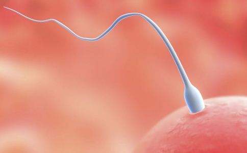 无锡捐卵-捐精人工授精知识科普：用外国精子成功受孕。